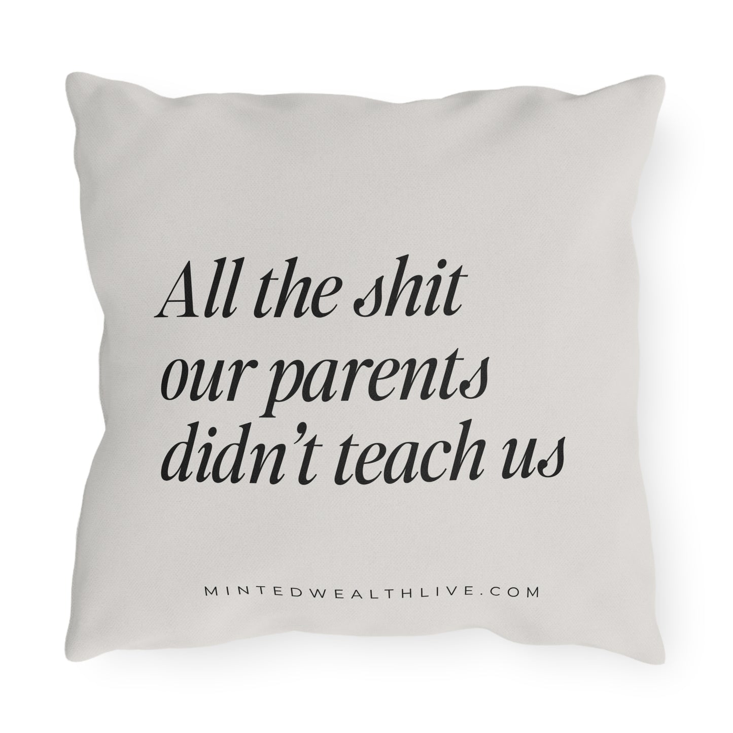 All The Shit Our Parents Didn't Teach Us | 16x16" Outdoor Pillow