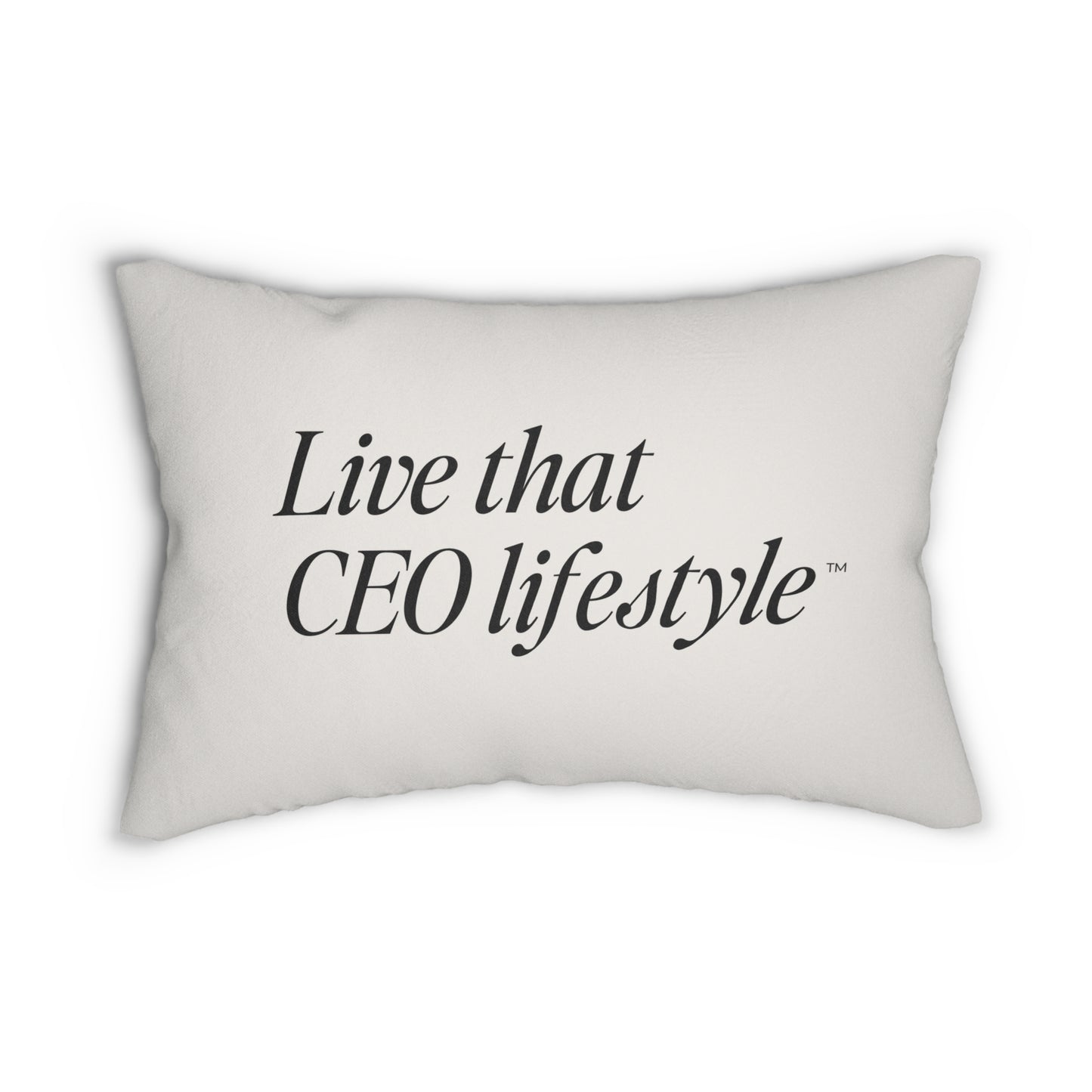 Life That CEO Lifestyle™ | Your Tax Coach 20x14" Lumbar Pillow