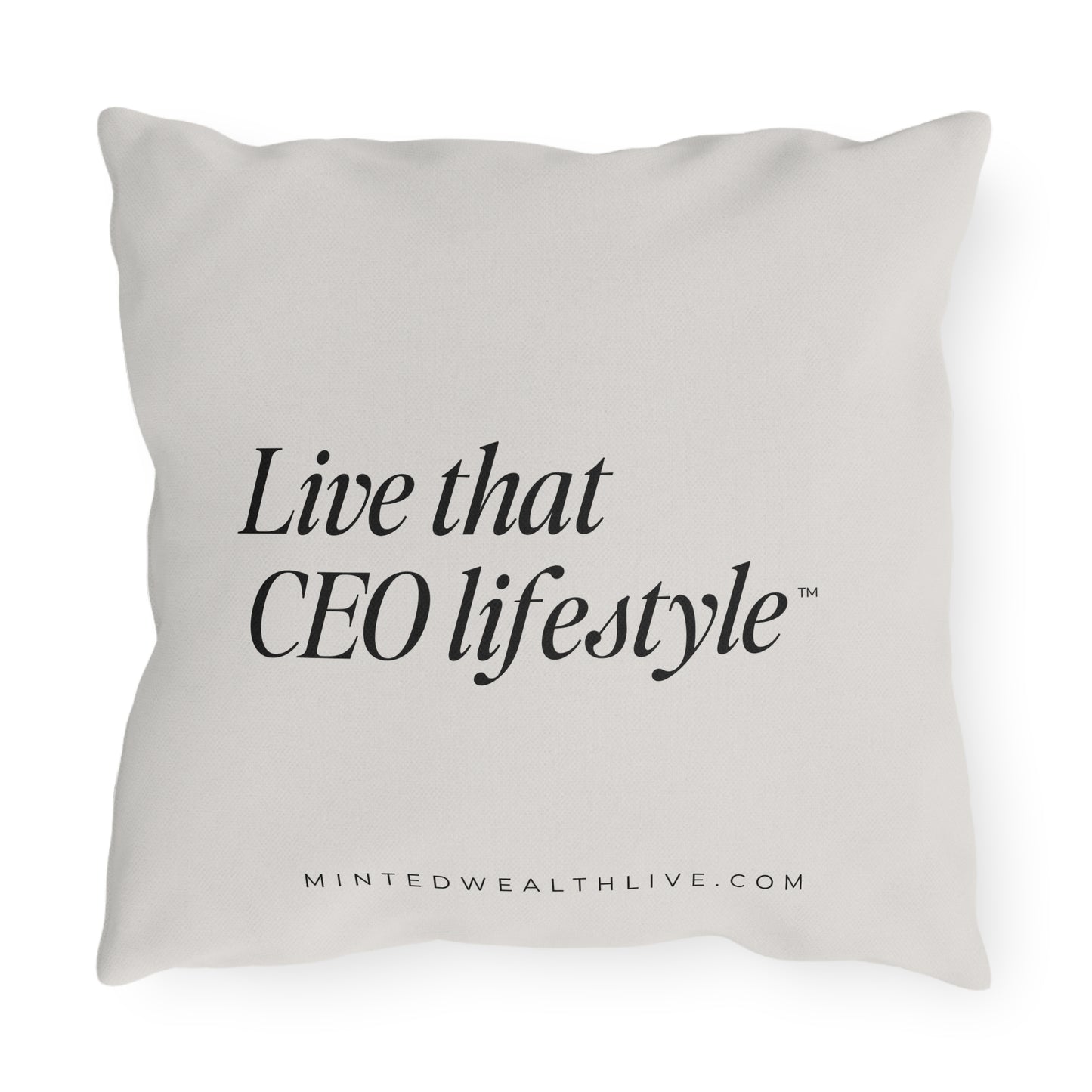 Live That CEO Lifestyle | 16x16" Outdoor Pillow