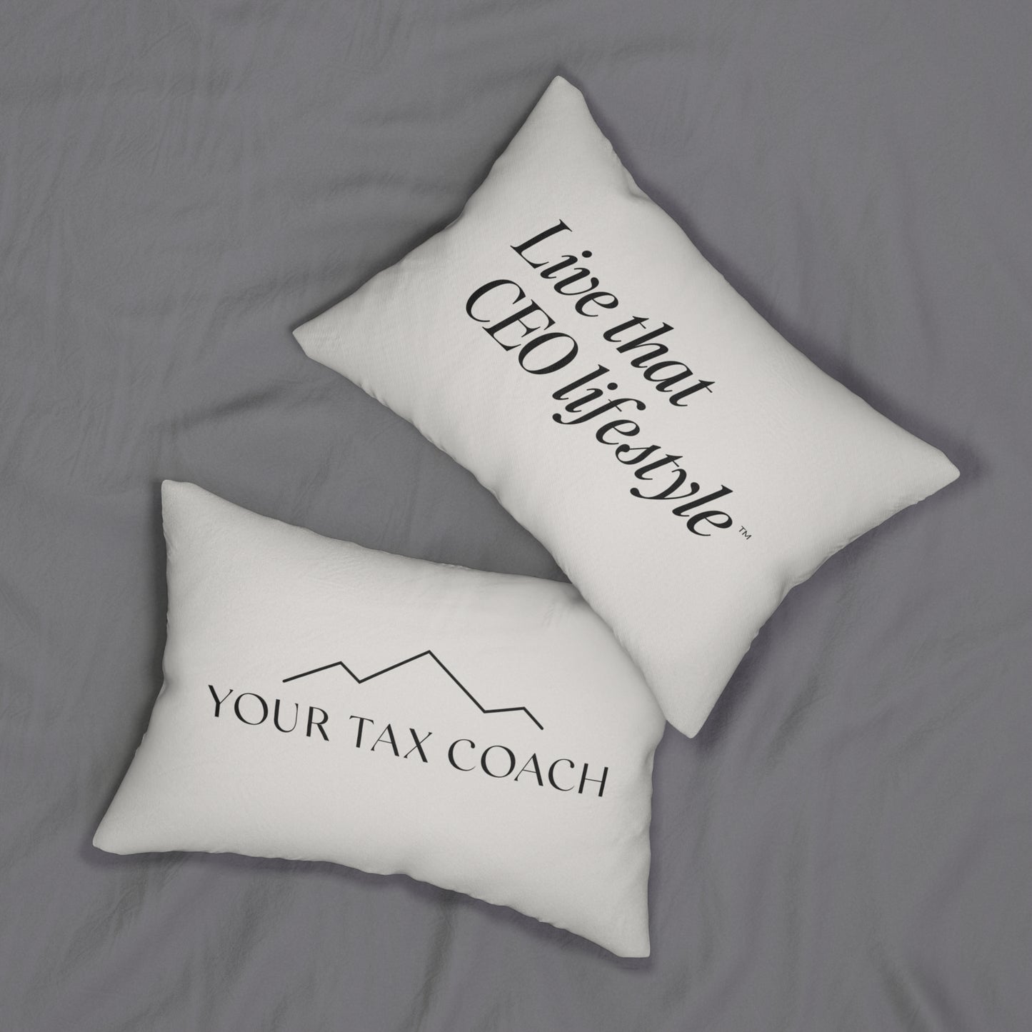 Life That CEO Lifestyle™ | Your Tax Coach 20x14" Lumbar Pillow