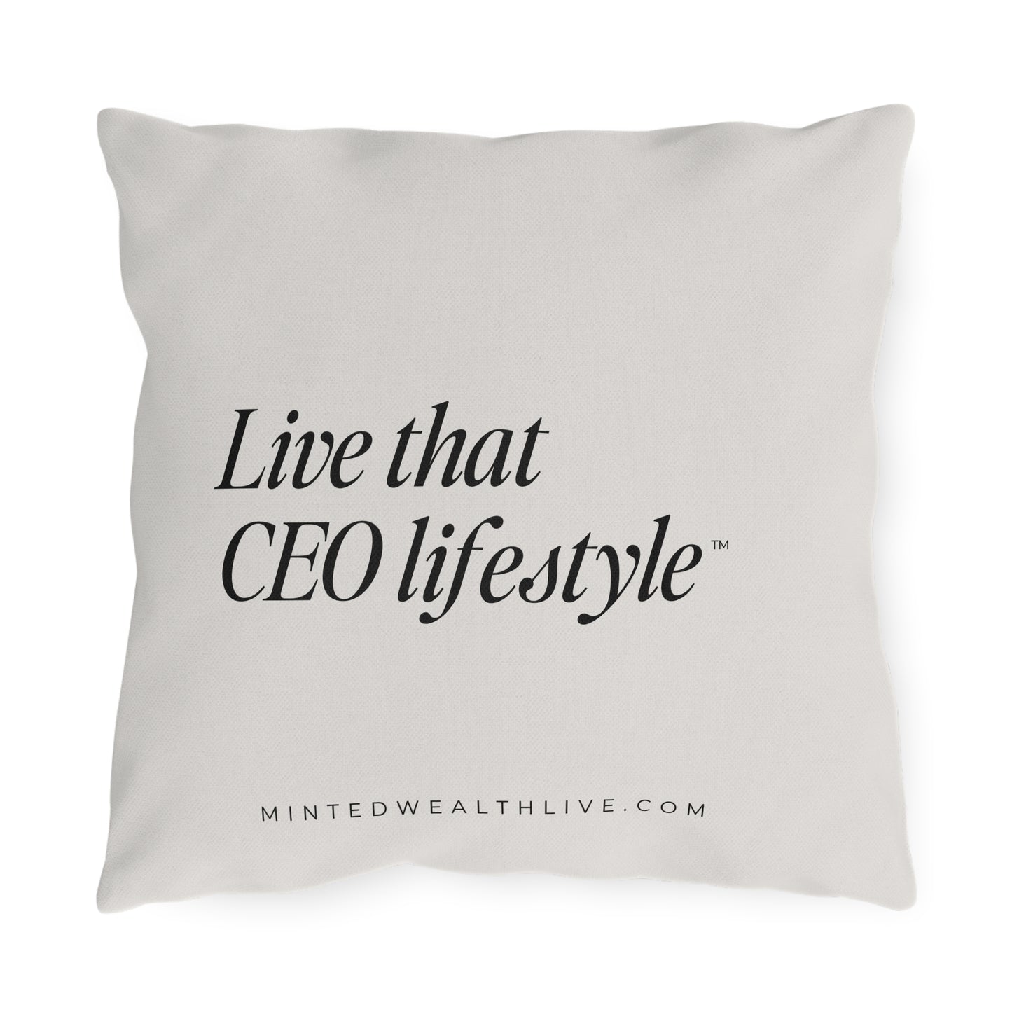 Live That CEO Lifestyle | 16x16" Outdoor Pillow