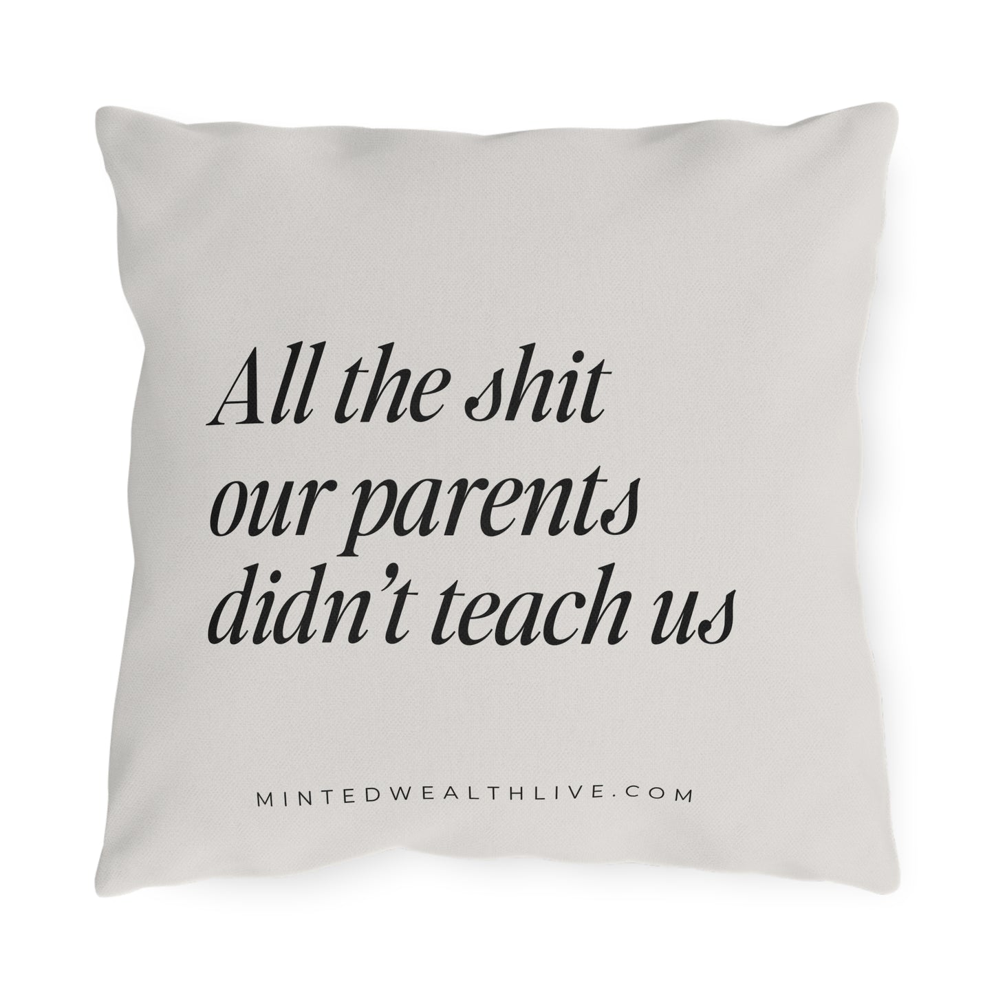 All The Shit Our Parents Didn't Teach Us | 16x16" Outdoor Pillow