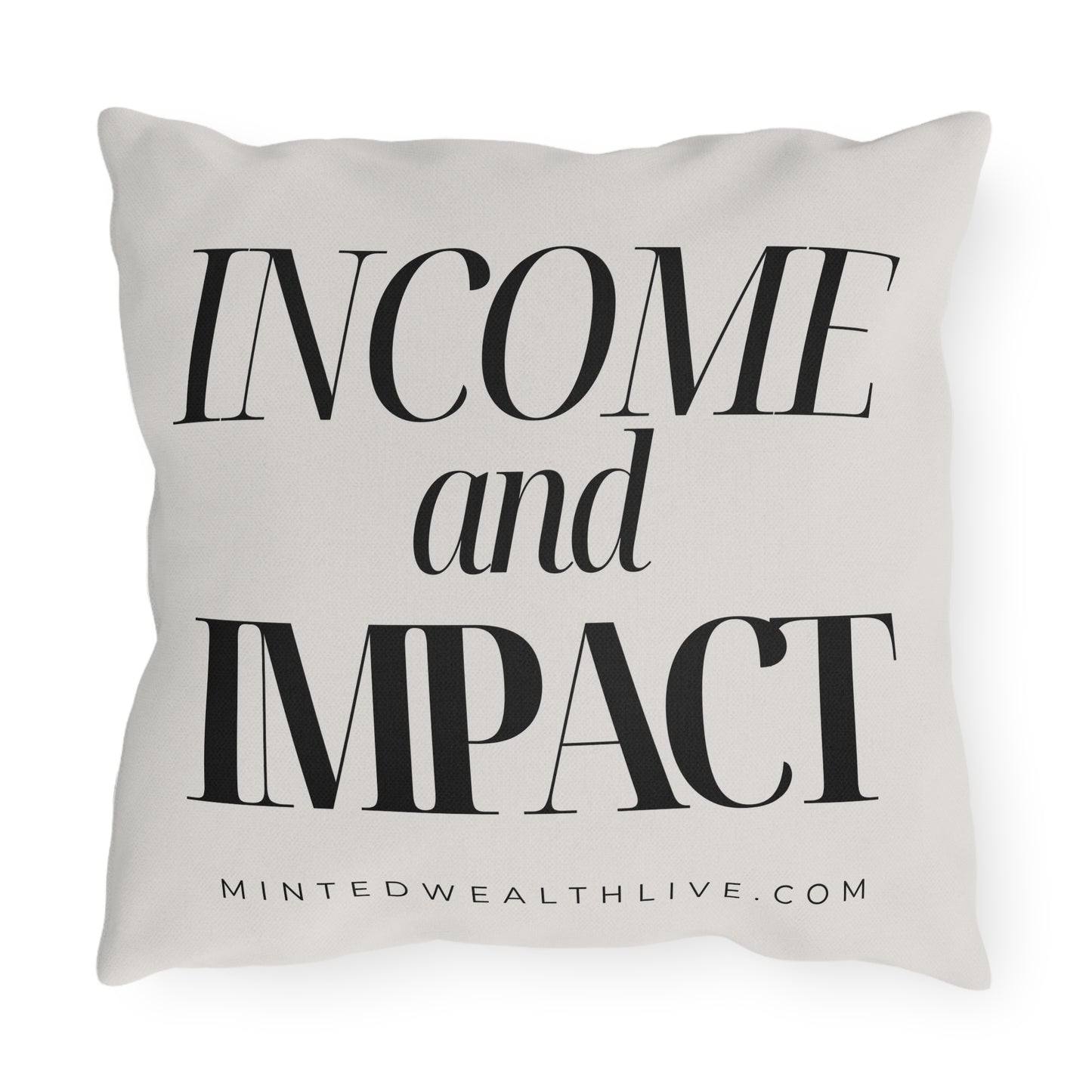 Income and Impact | 16x16" Outdoor Pillow